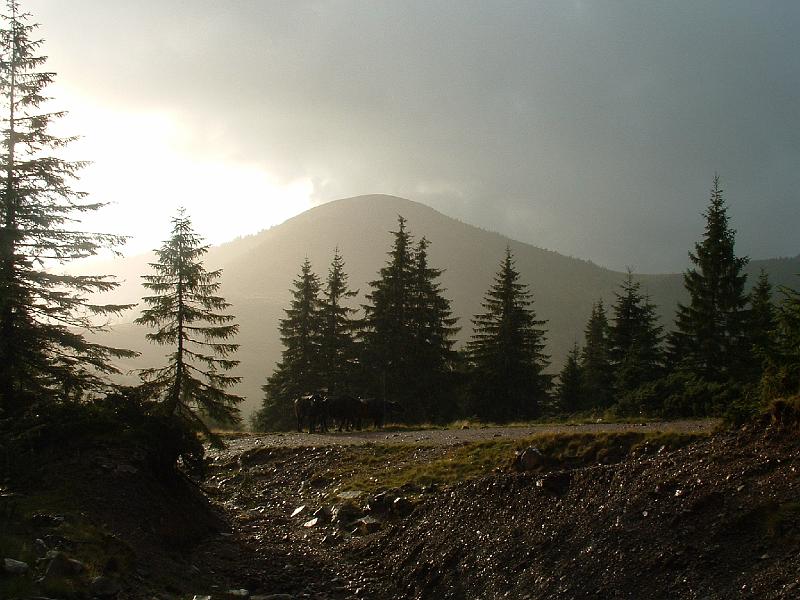 KeP 093 A Mezohavas